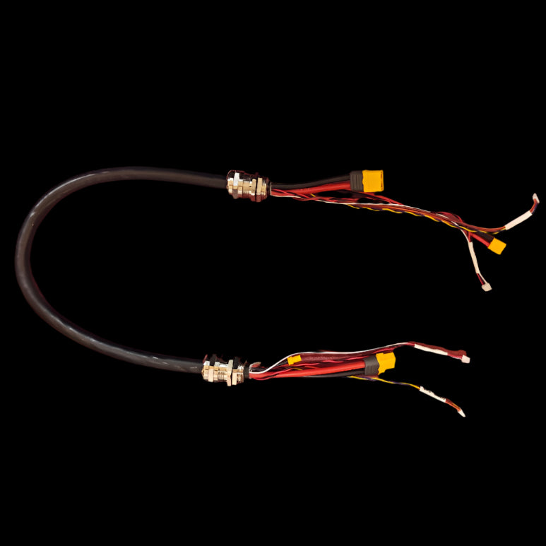 Cable/ Wire Harness (Connect Battery to Controller Box)